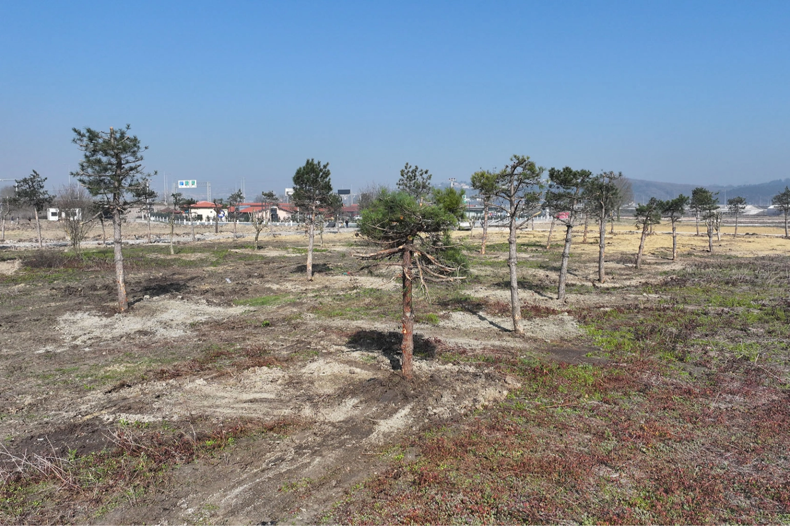 Sakarya’da yeşil cenneti Büyükşehir eliyle yaşatılıyor